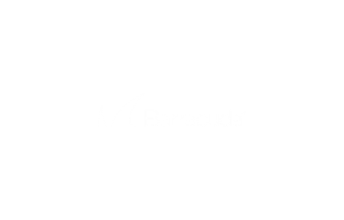 Distributor Resmi Barracuda Indonesia