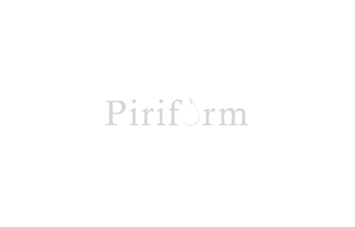 Distributor Resmi Piriform Indonesia