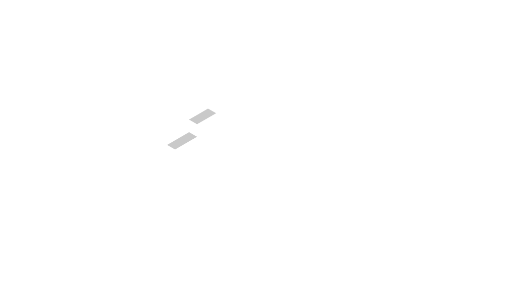 Logo DSG 2024-03