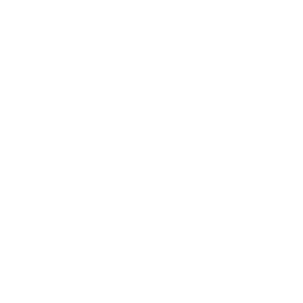 Icon Sertifikasi Pentest-09