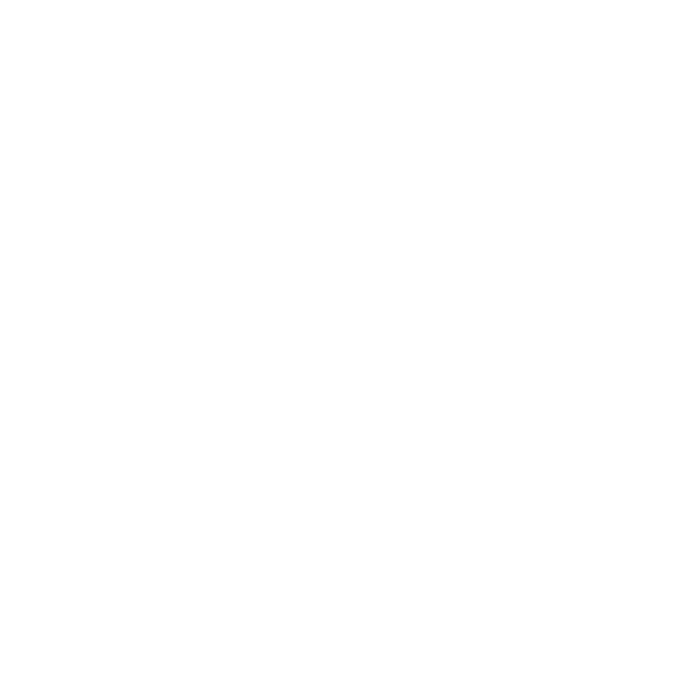 Icon Sertifikasi Pentest-11
