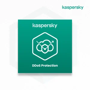 Jual Kaspersky DDoS Protection