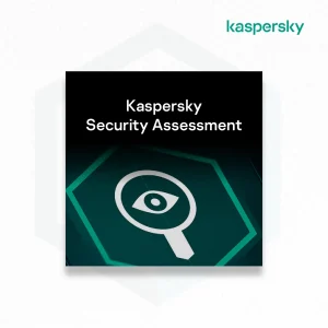 Jual Kaspersky Security Assessment