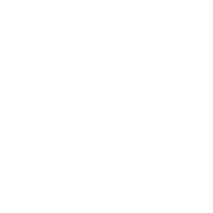 Netpas