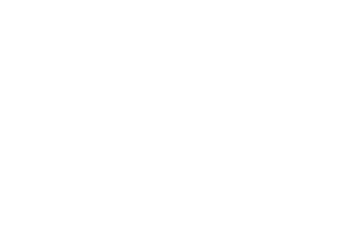 Netpas