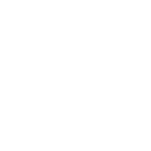 V-Ray