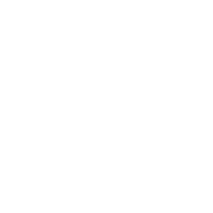 Bricsys